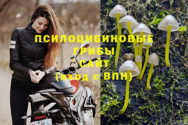 прущая мука Лагань