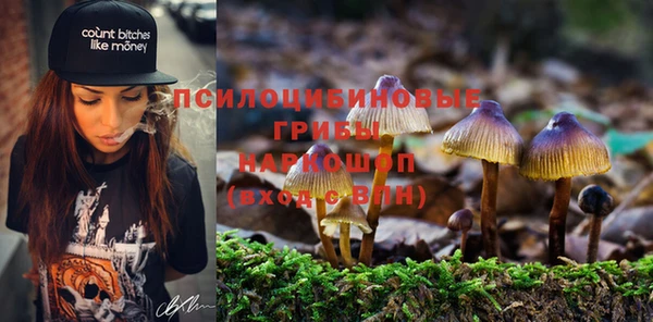 прущий лед Липки