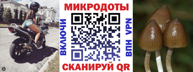 Галлюциногенные грибы GOLDEN TEACHER  Мелеуз 